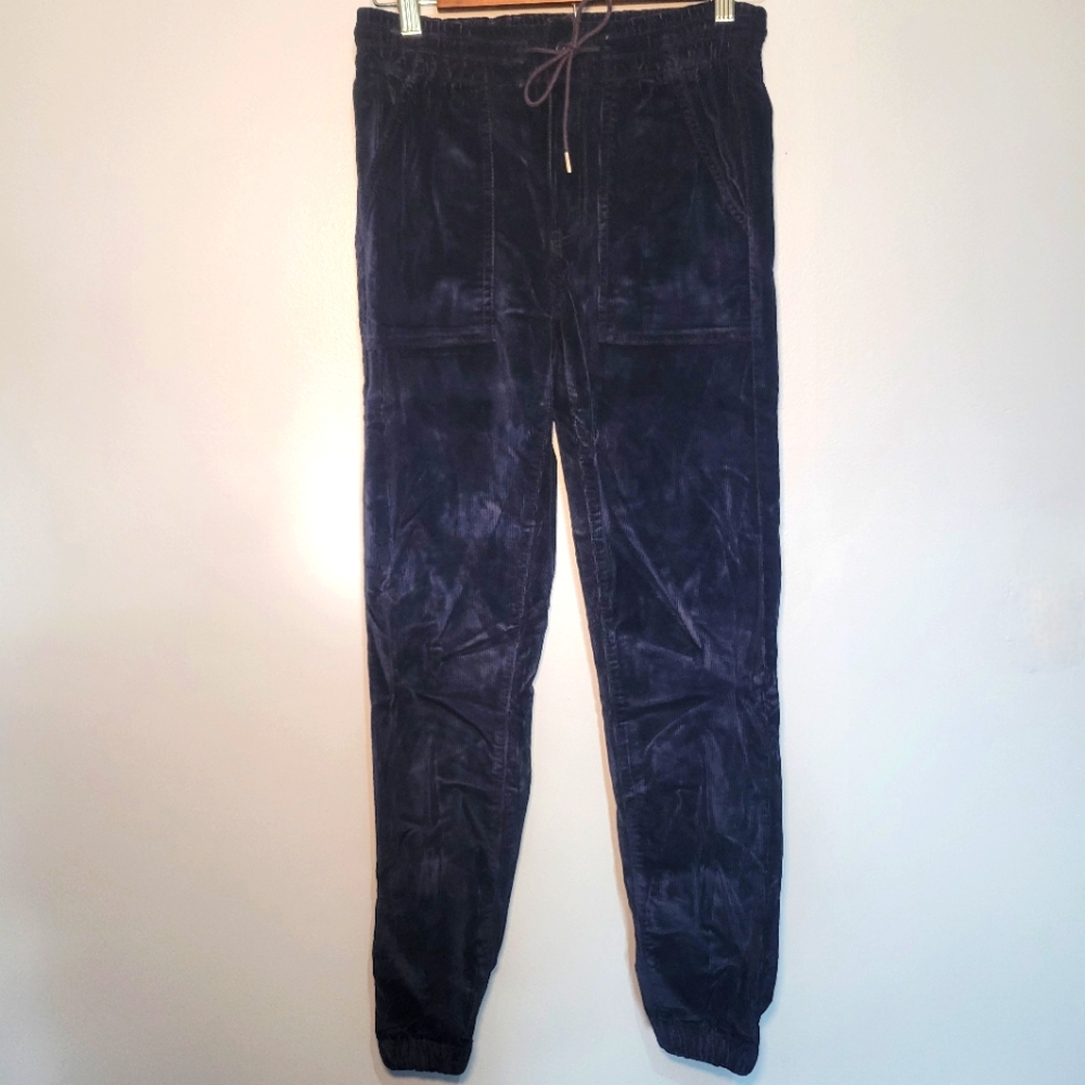 American Eagle Outfitters Navy Velvet Jogger Track Pants